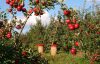 5 Things To Consider Before Buying Land For Your Agricultural Business