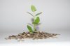 Finding Ways To Avoid Wasting Money On Employees